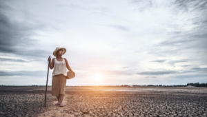 Projetos de resiliência climática miram desastres naturais